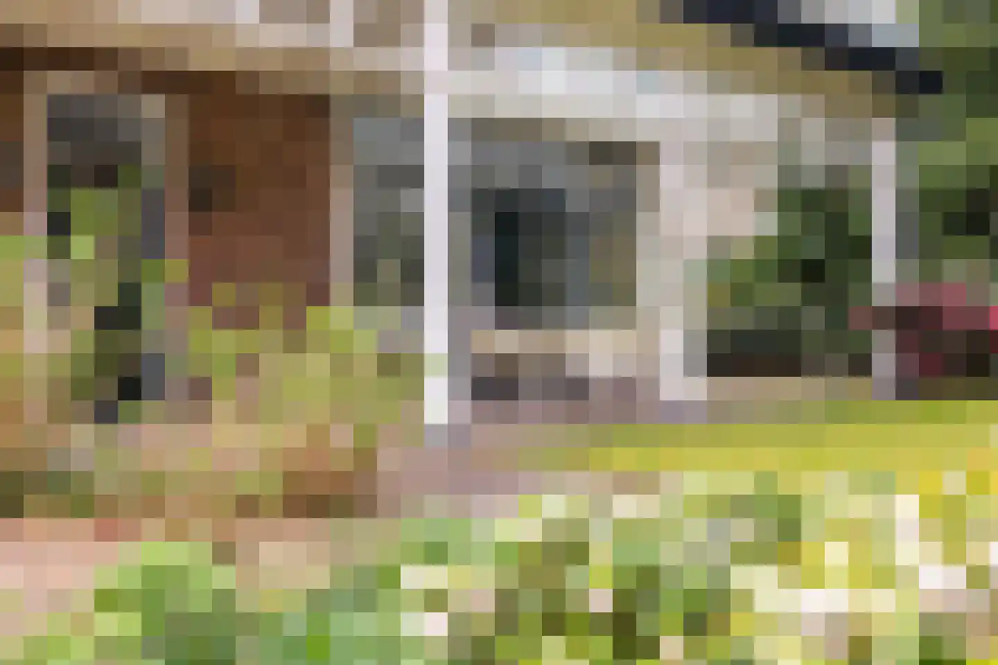 Kroostweg-Noord 177 De Bilt thumbnail 27