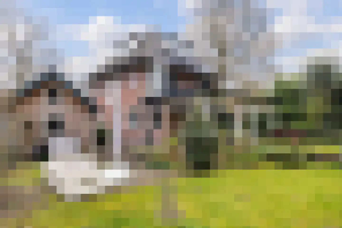 Kroostweg-Noord 177 De Bilt thumbnail 30