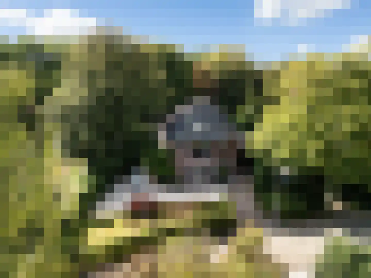 Kroostweg-Noord 177 De Bilt thumbnail 49
