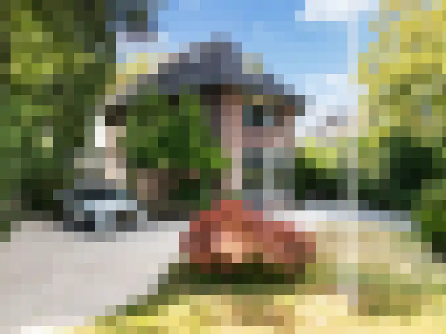 Kroostweg-Noord 177 De Bilt thumbnail 52