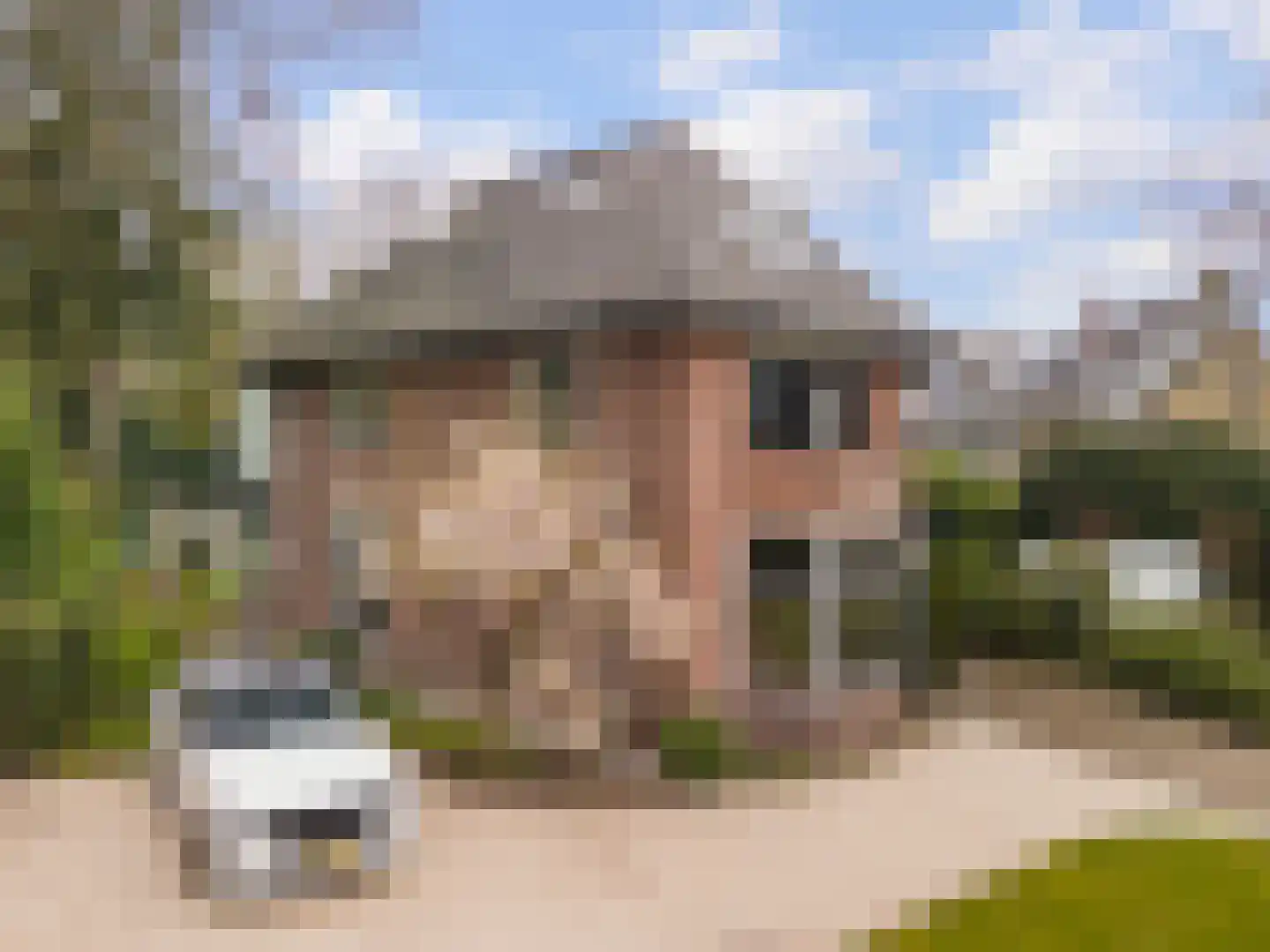 Kroostweg-Noord 177 De Bilt thumbnail 61