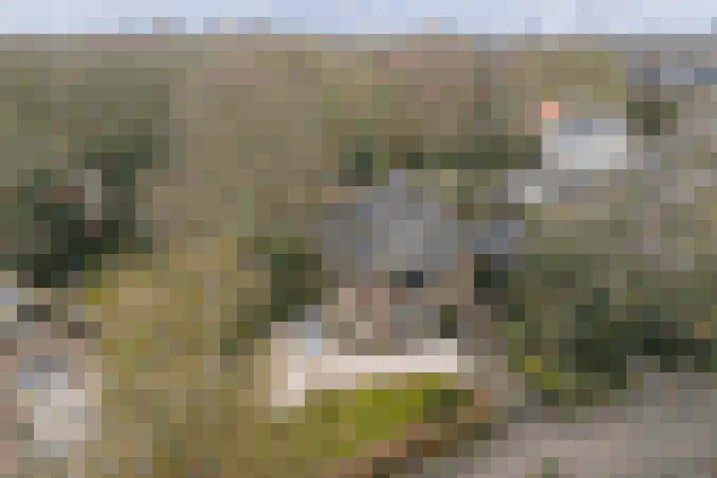 Kroostweg-Noord 177 De Bilt thumbnail 66