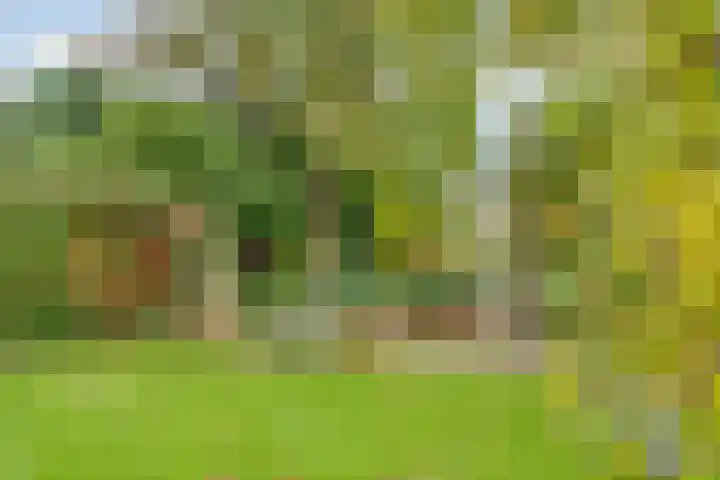 Kroostweg-Noord 208 Zeist thumbnail 31