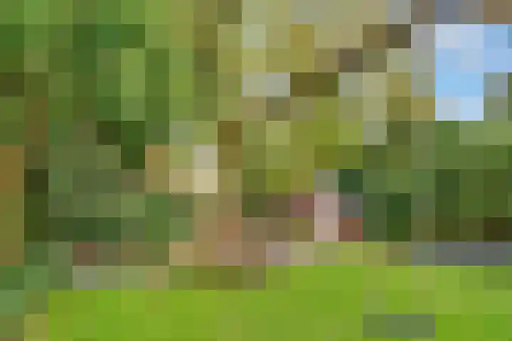Kroostweg-Noord 208 Zeist thumbnail 32