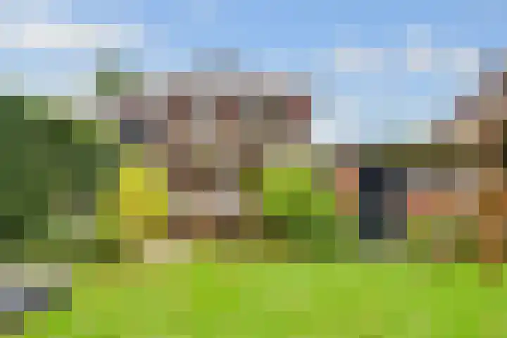 Kroostweg-Noord 208 Zeist thumbnail 34