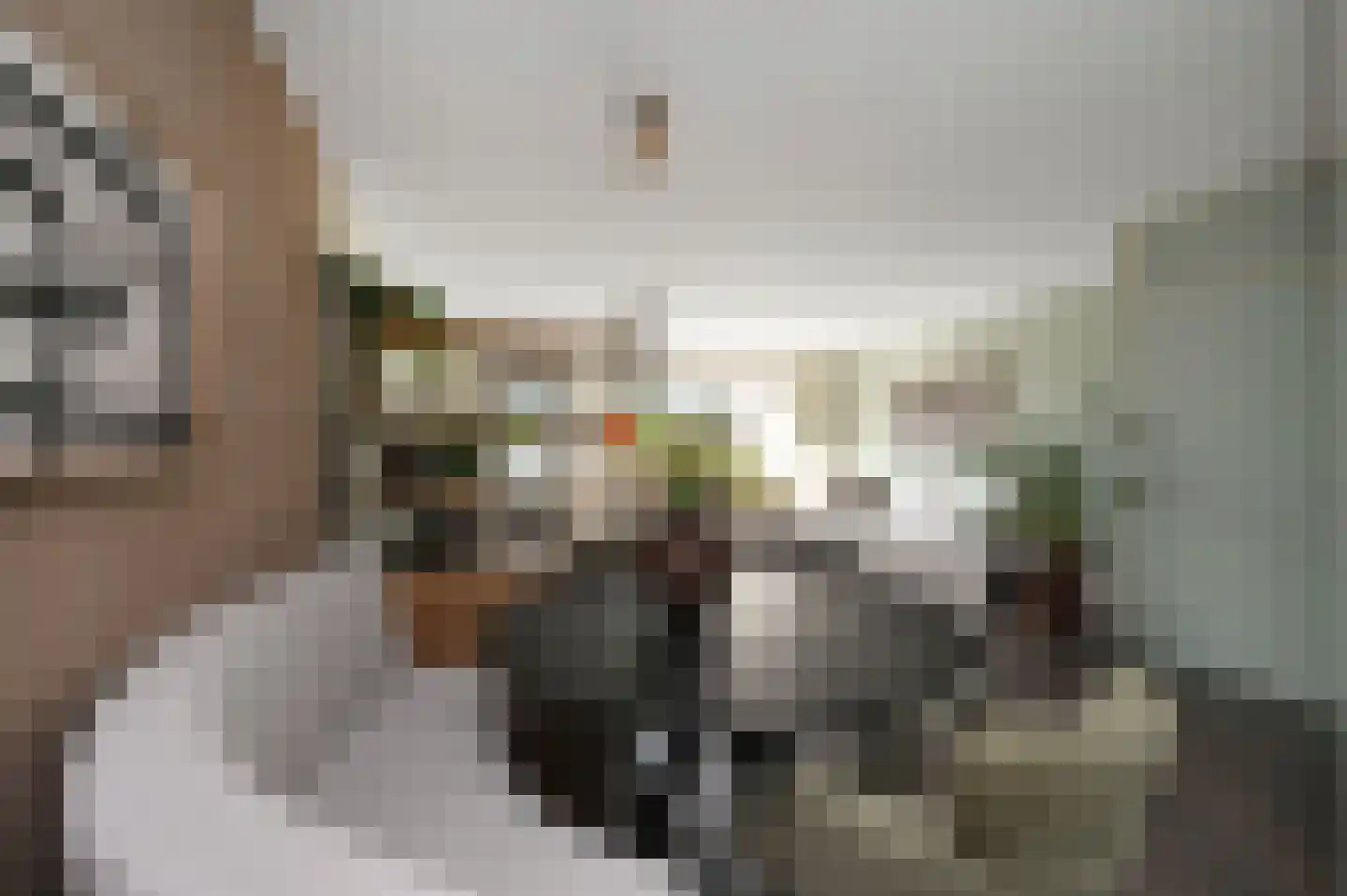 Kroosvaren 14 Nootdorp thumbnail 10