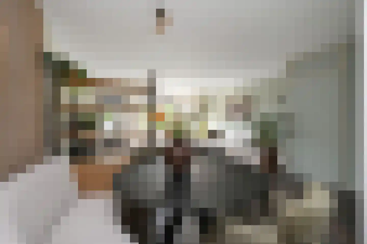 Kroosvaren 14 Nootdorp thumbnail 11