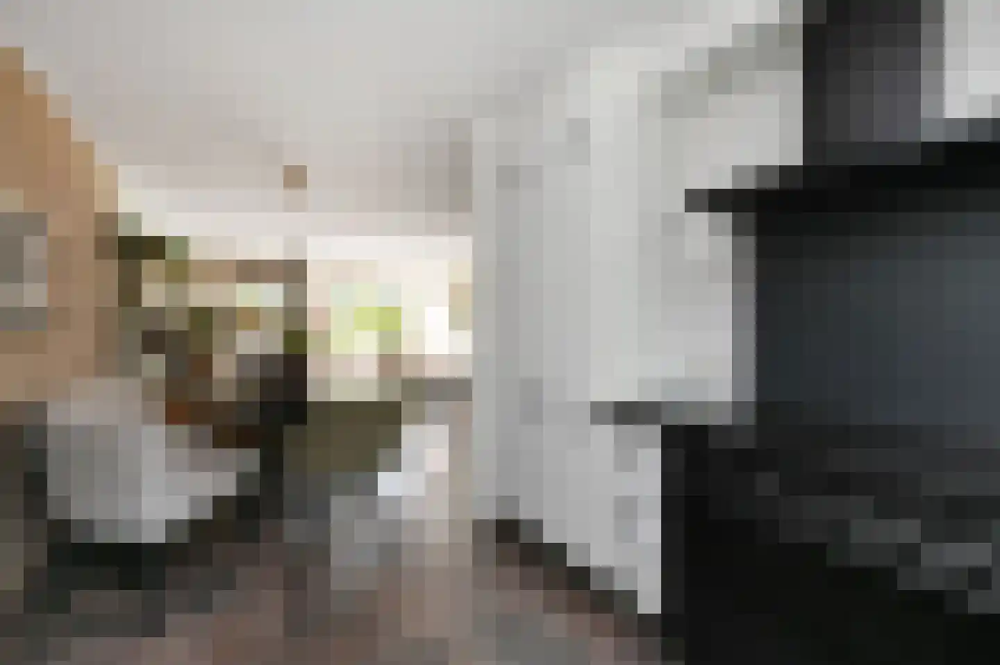 Kroosvaren 14 Nootdorp thumbnail 14