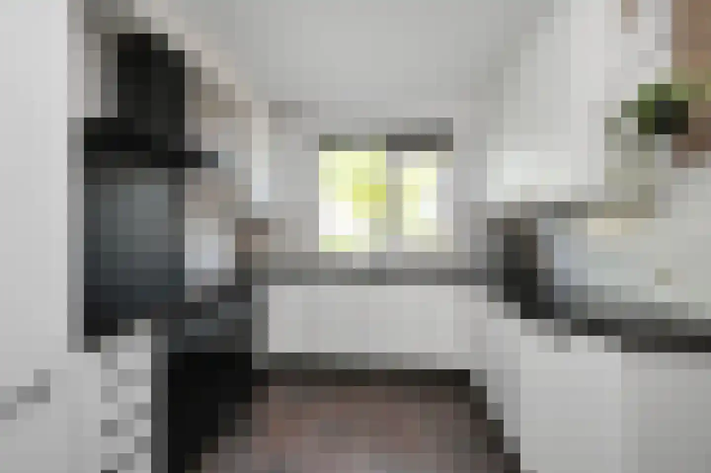 Kroosvaren 14 Nootdorp thumbnail 15