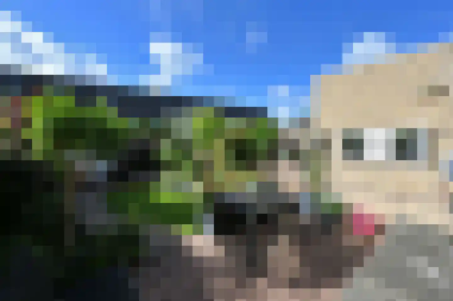 Kroosvaren 14 Nootdorp thumbnail 22