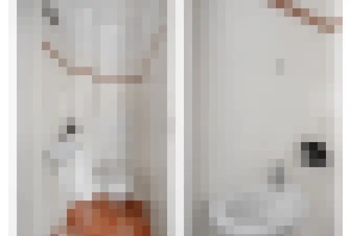 Kroosvaren 14 Nootdorp thumbnail 24