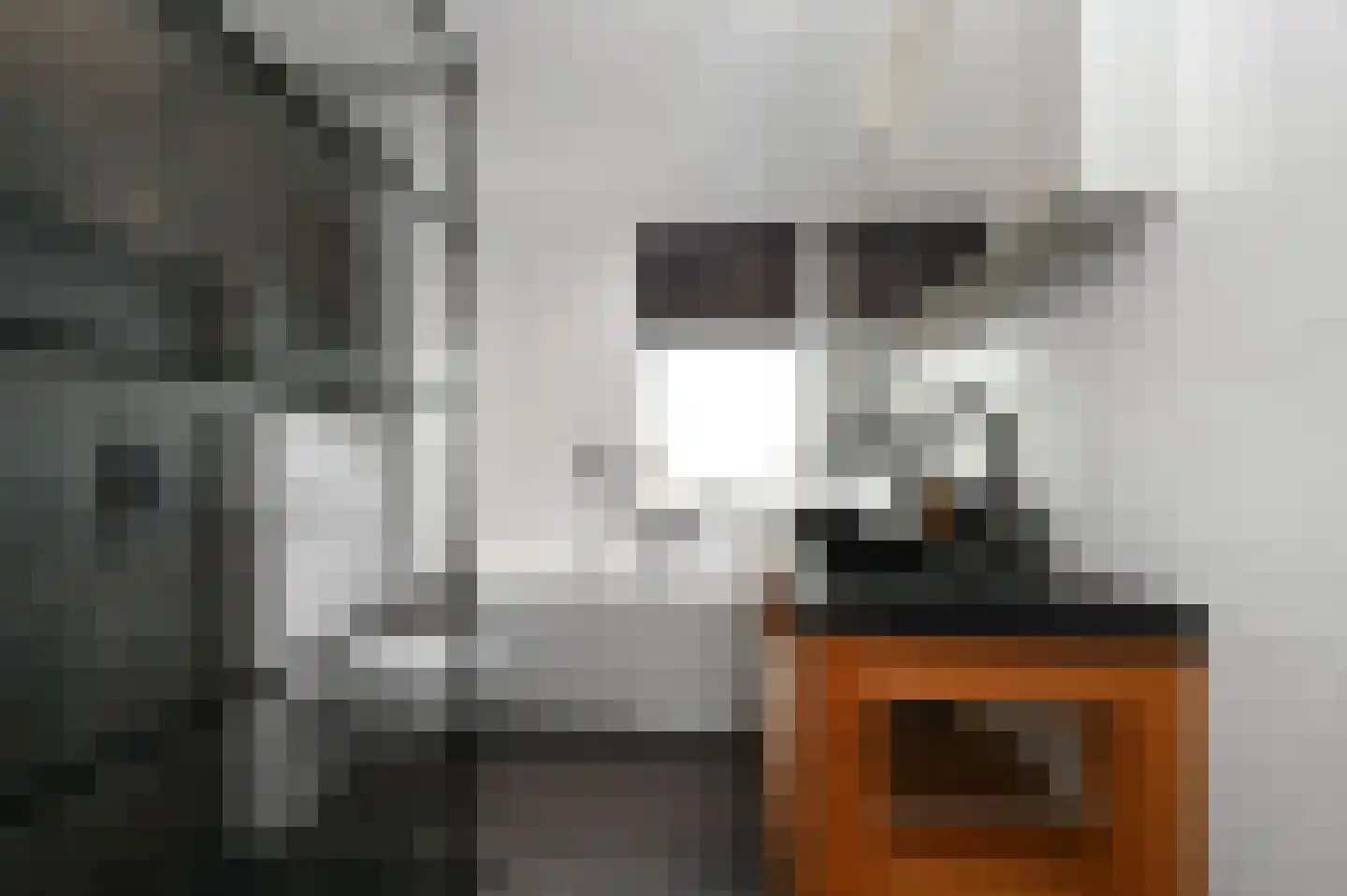 Kroosvaren 14 Nootdorp thumbnail 29