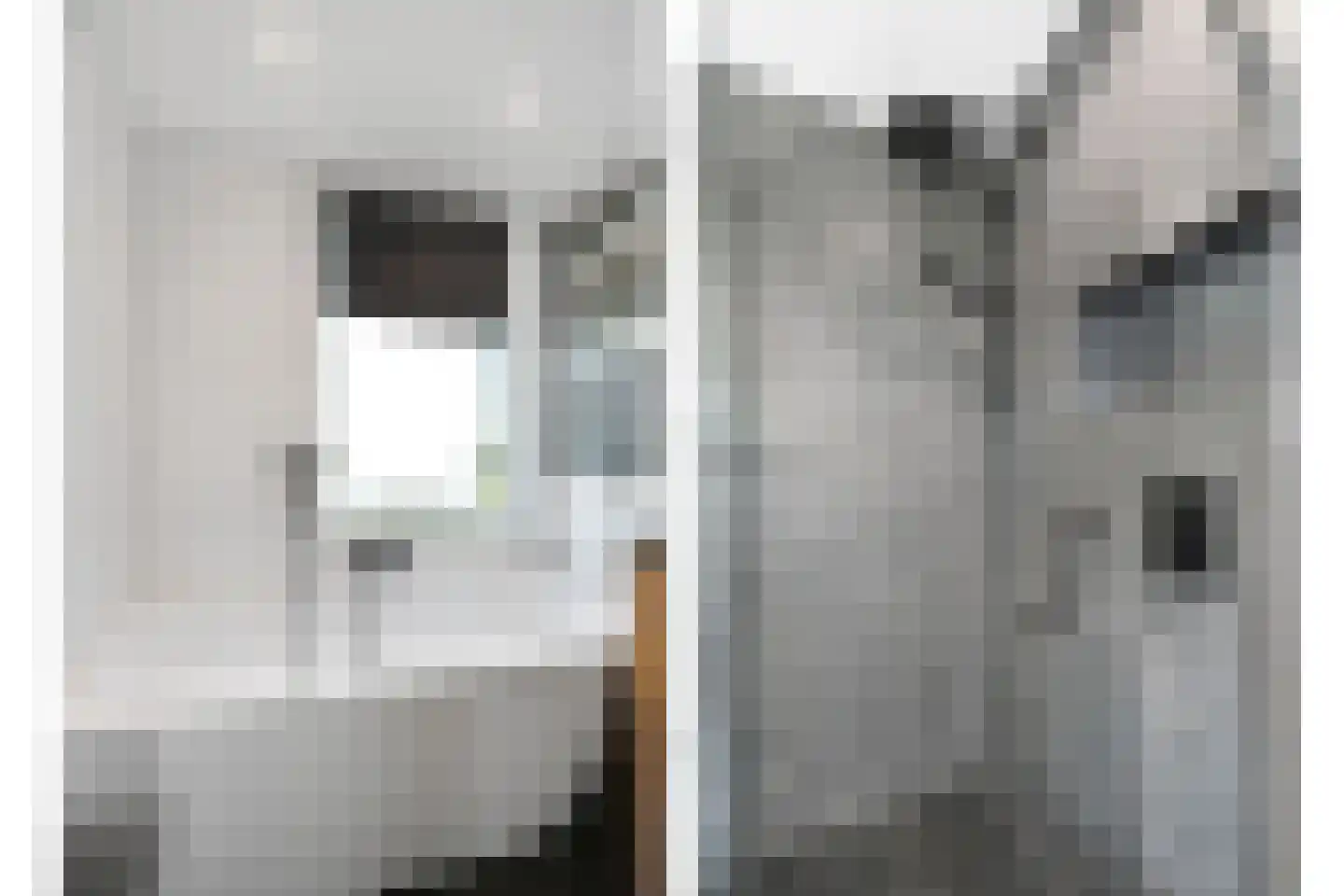 Kroosvaren 14 Nootdorp thumbnail 30