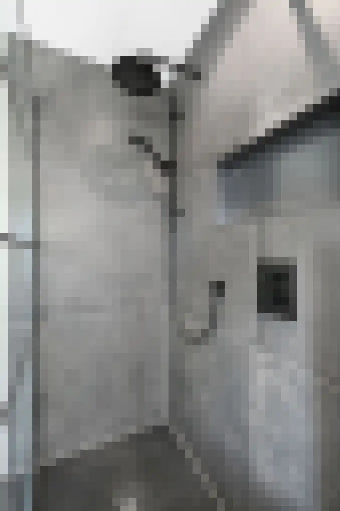 Kroosvaren 14 Nootdorp thumbnail 32