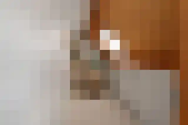 Kroosvaren 14 Nootdorp thumbnail 43