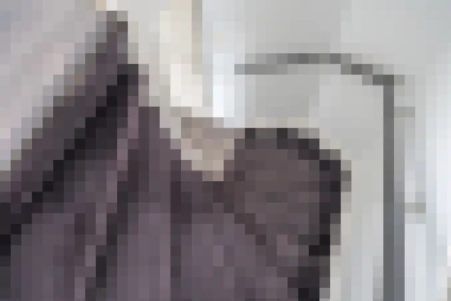 Kroosvaren 17 Nootdorp thumbnail 15