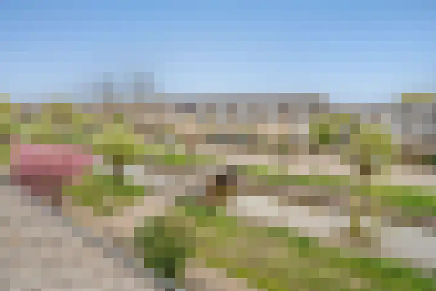 Kroosvaren 17 Nootdorp thumbnail 30