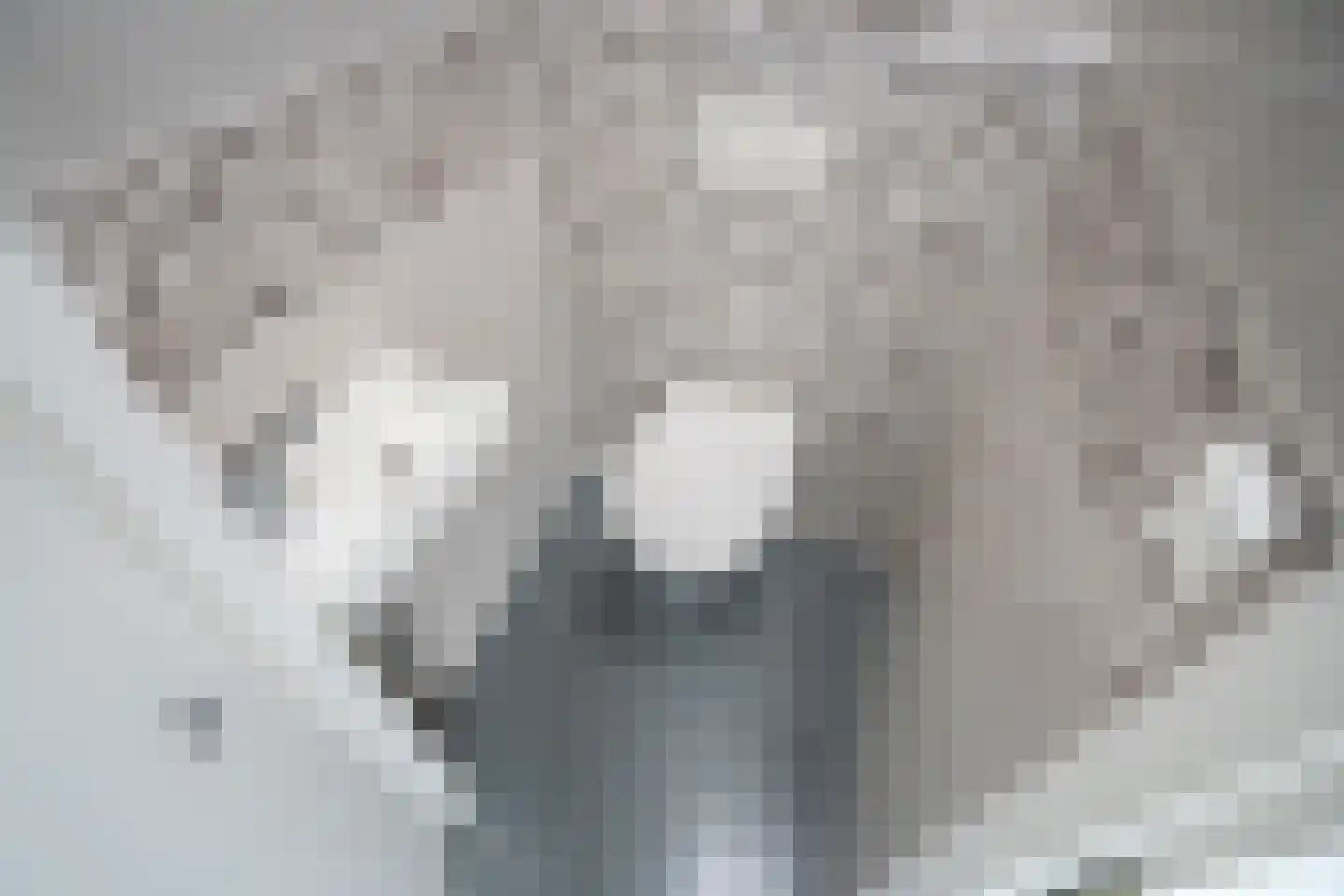 Kroosvaren 17 Nootdorp thumbnail 5