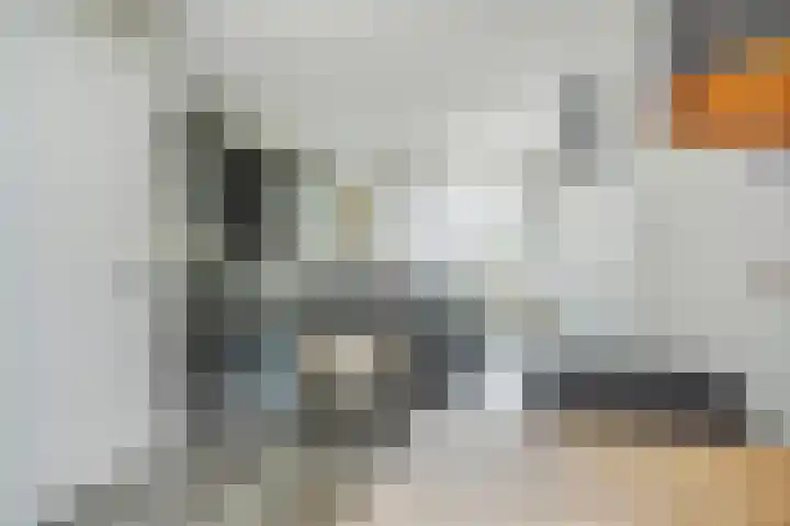 Kroosvaren 41 Nootdorp thumbnail 10