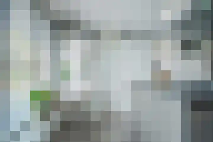 Kroosvaren 41 Nootdorp thumbnail 12