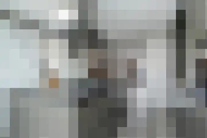 Kroosvaren 41 Nootdorp thumbnail 13