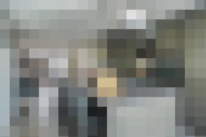 Kroosvaren 41 Nootdorp thumbnail 14