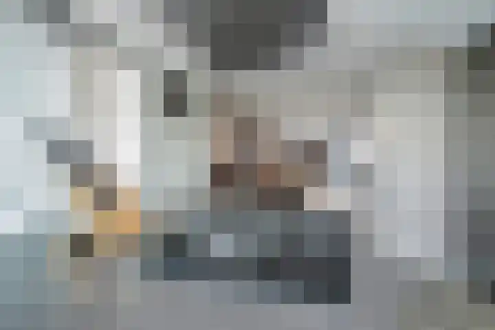 Kroosvaren 41 Nootdorp thumbnail 15