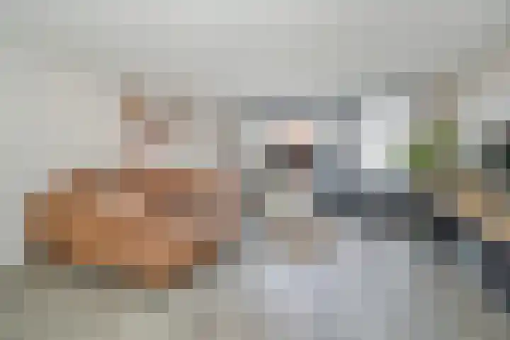 Kroosvaren 41 Nootdorp thumbnail 17