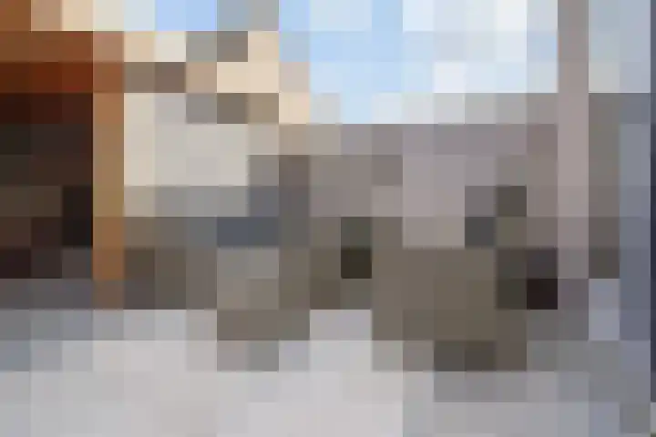 Kroosvaren 41 Nootdorp thumbnail 21