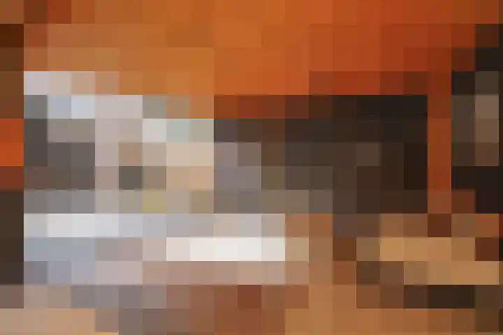 Kroosvaren 41 Nootdorp thumbnail 25