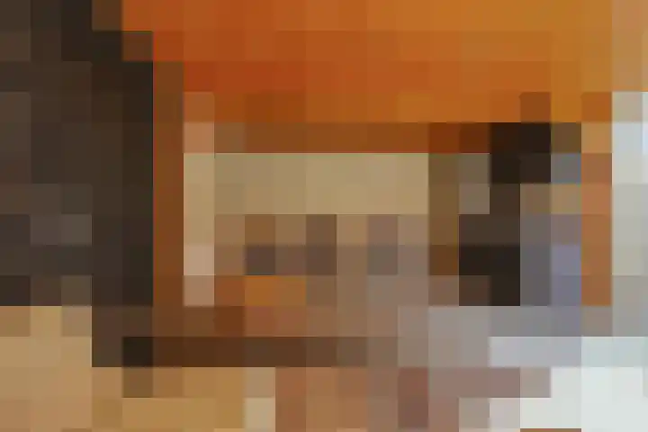 Kroosvaren 41 Nootdorp thumbnail 26