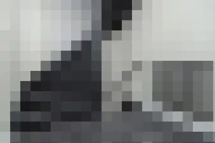 Kroosvaren 41 Nootdorp thumbnail 31