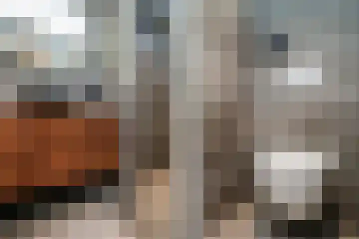 Kroosvaren 41 Nootdorp thumbnail 36