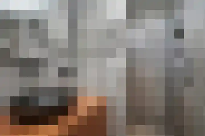 Kroosvaren 41 Nootdorp thumbnail 37