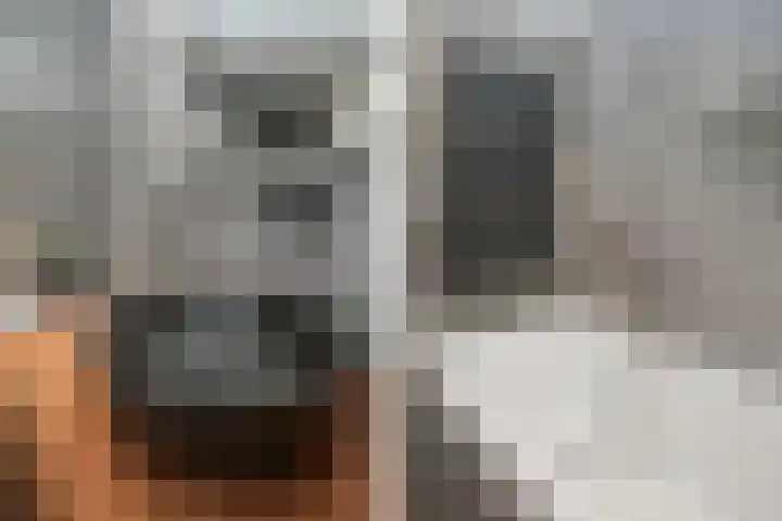 Kroosvaren 41 Nootdorp thumbnail 39