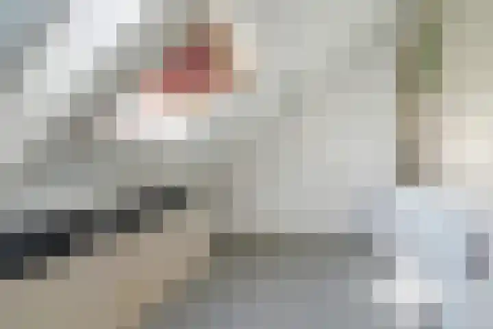 Kroosvaren 41 Nootdorp thumbnail 43