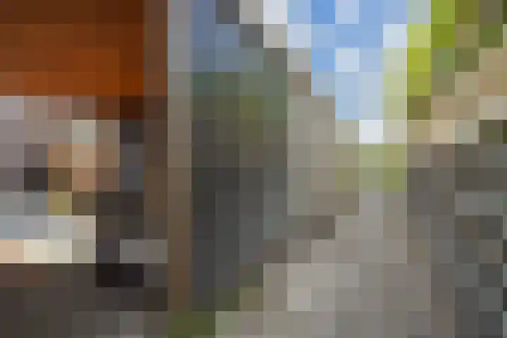 Kroosvaren 41 Nootdorp thumbnail 48