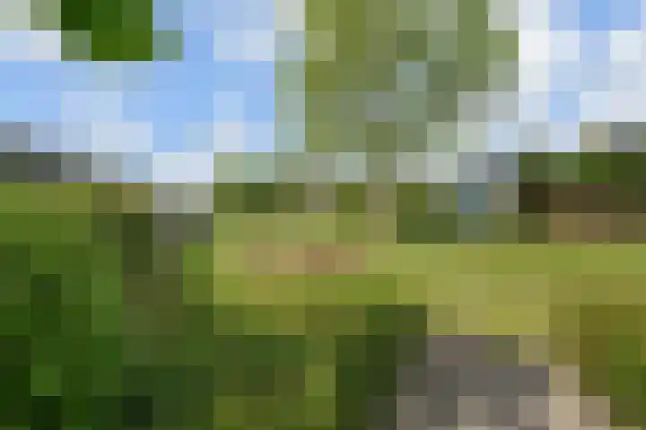 Kroosvaren 41 Nootdorp thumbnail 49