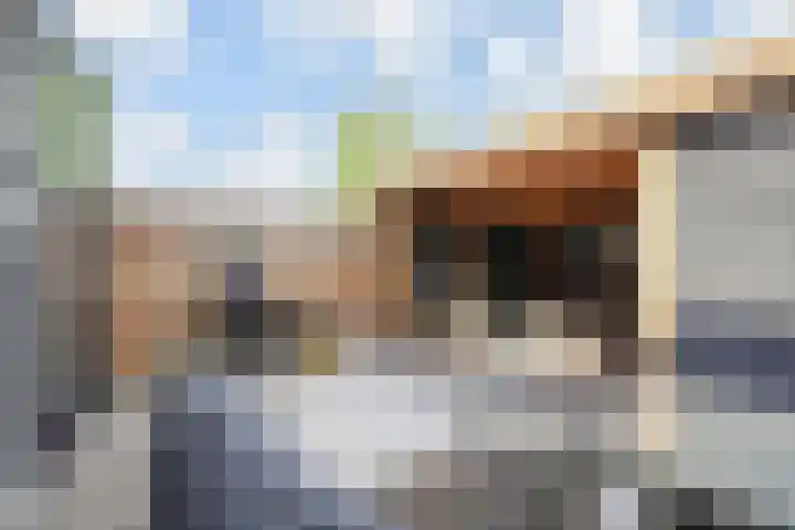 Kroosvaren 41 Nootdorp thumbnail 5