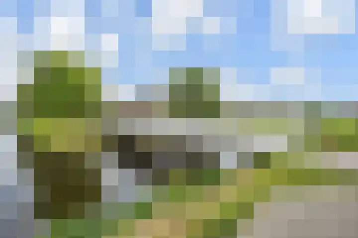 Kroosvaren 41 Nootdorp thumbnail 52