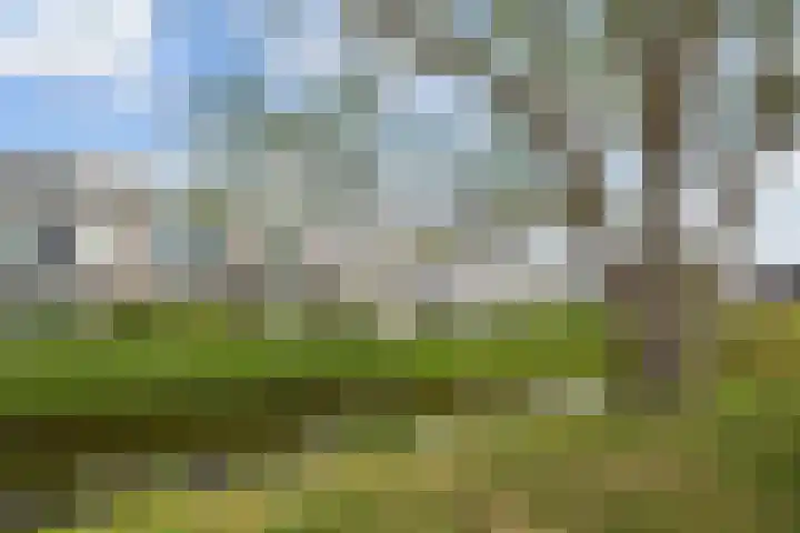 Kroosvaren 41 Nootdorp thumbnail 54