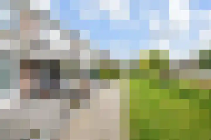 Kroosvaren 41 Nootdorp thumbnail 55