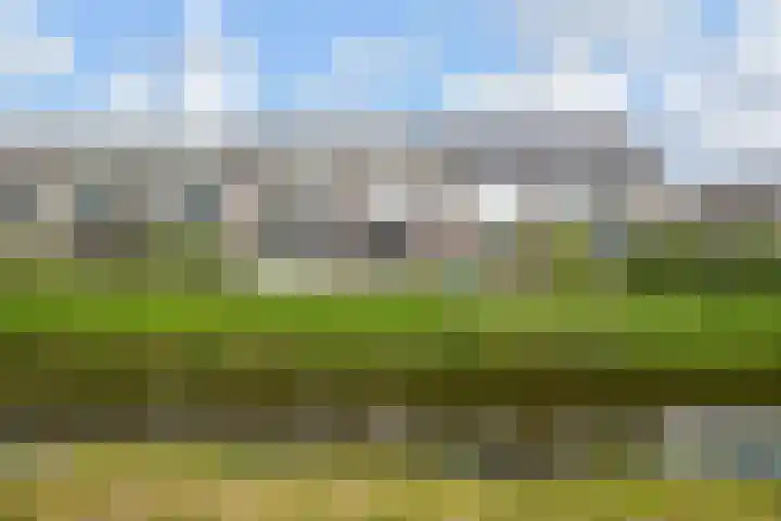 Kroosvaren 41 Nootdorp thumbnail 61