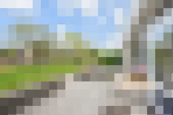Kroosvaren 41 Nootdorp thumbnail 7