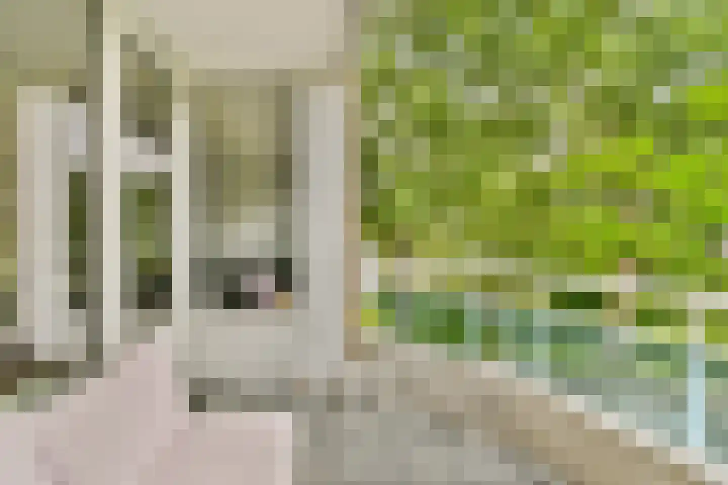 Krooswijkhof 11 Amsterdam thumbnail 12