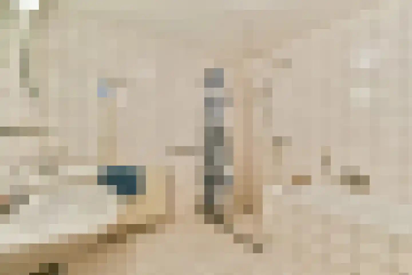 Krooswijkhof 11 Amsterdam thumbnail 16