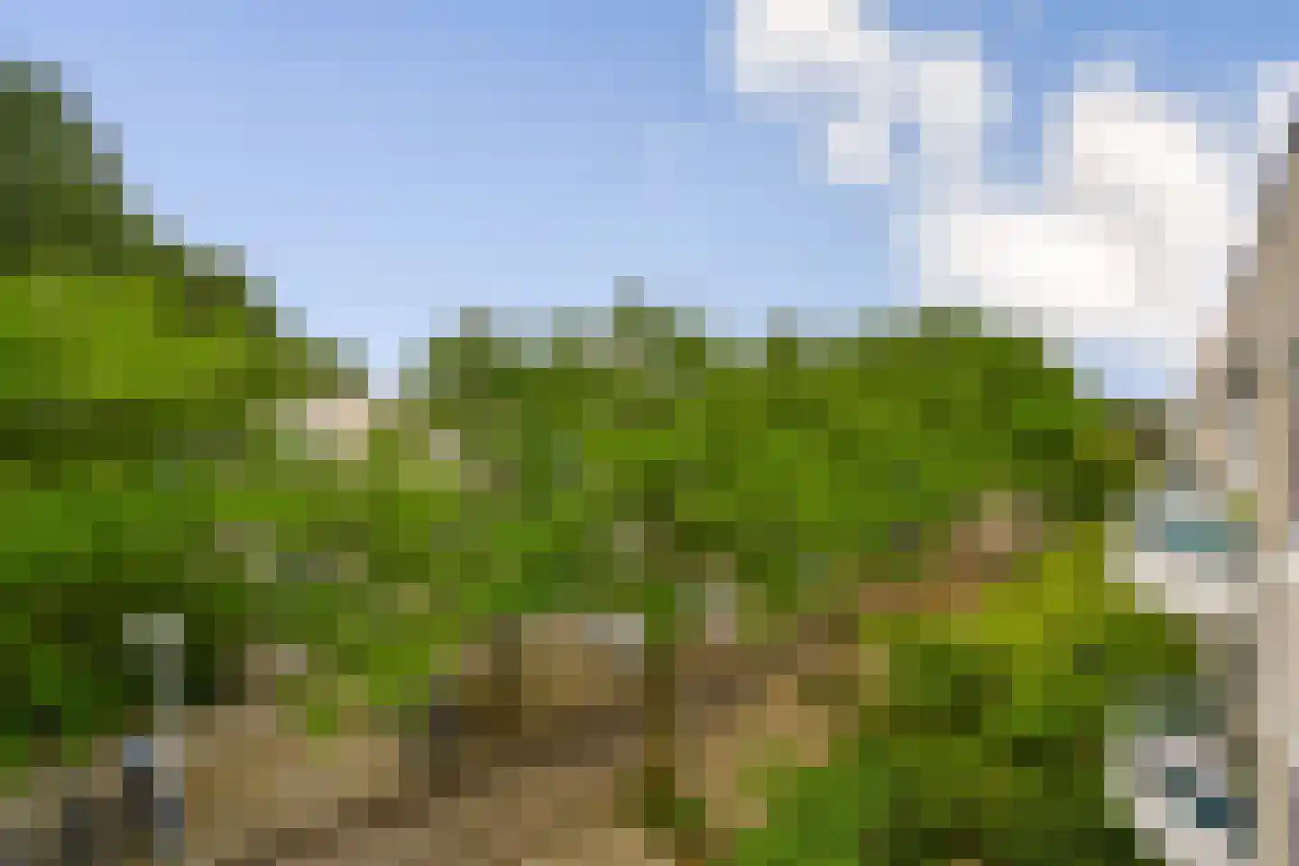 Krooswijkhof 11 Amsterdam thumbnail 5