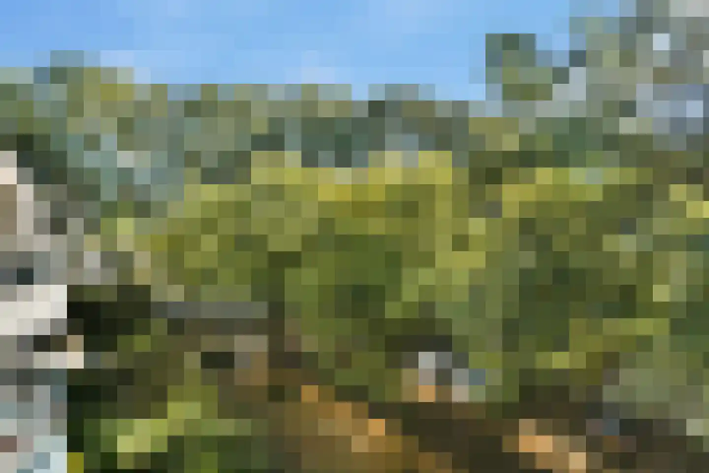 Krooswijkhof 22 Amsterdam thumbnail 11