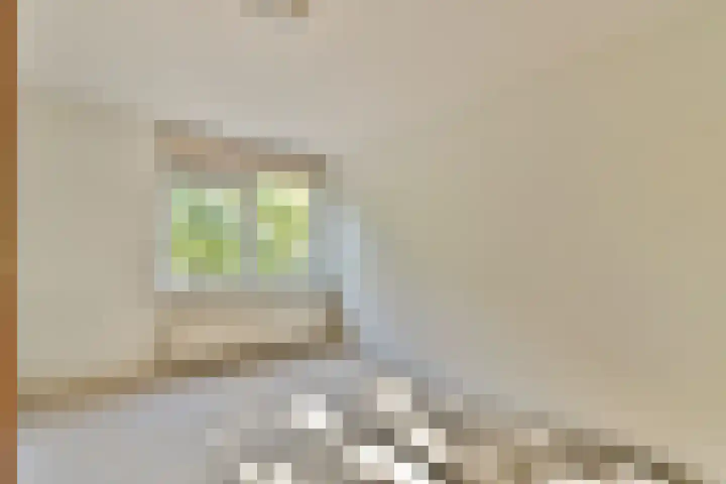 Krooswijkhof 22 Amsterdam thumbnail 15