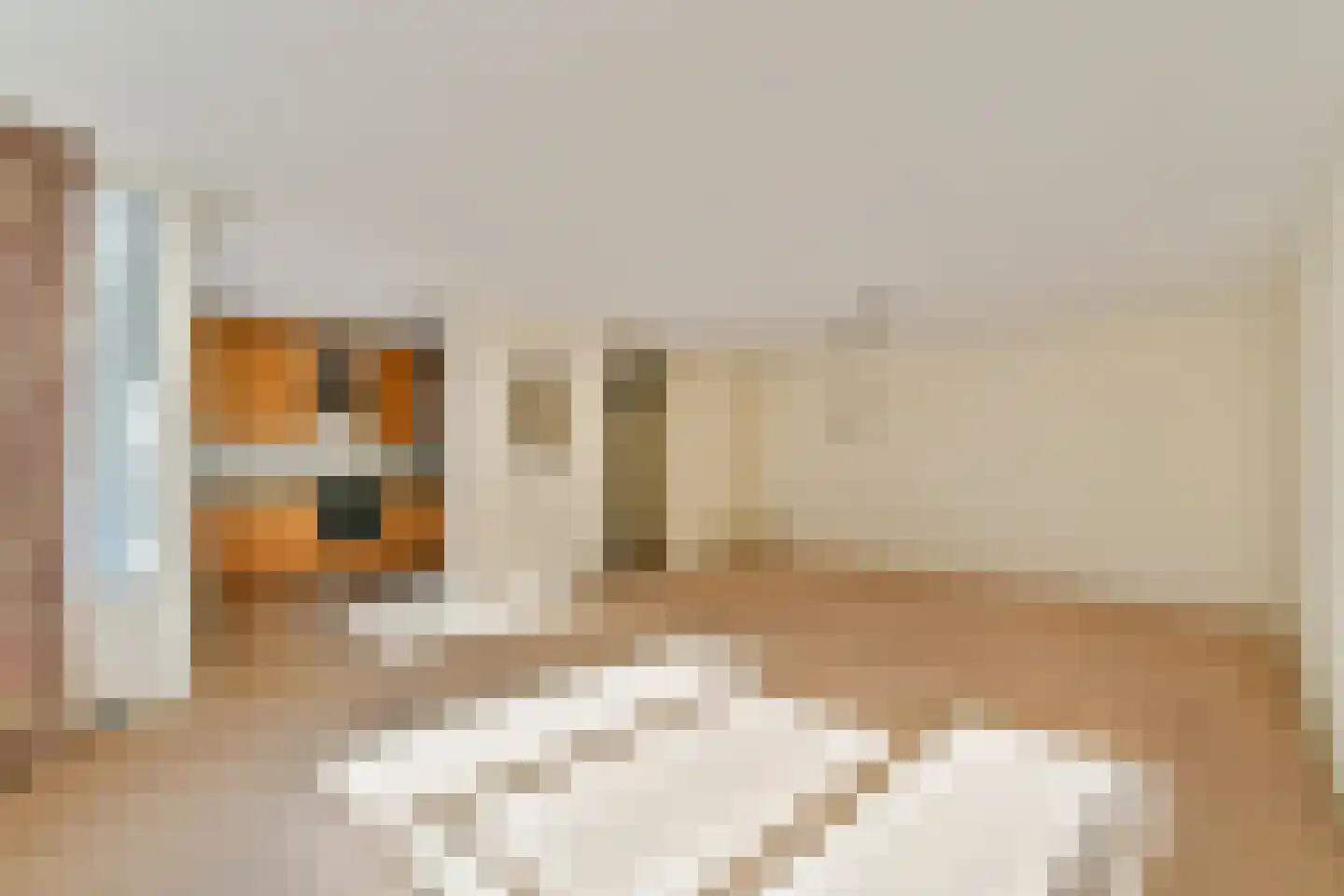 Krooswijkhof 22 Amsterdam thumbnail 4